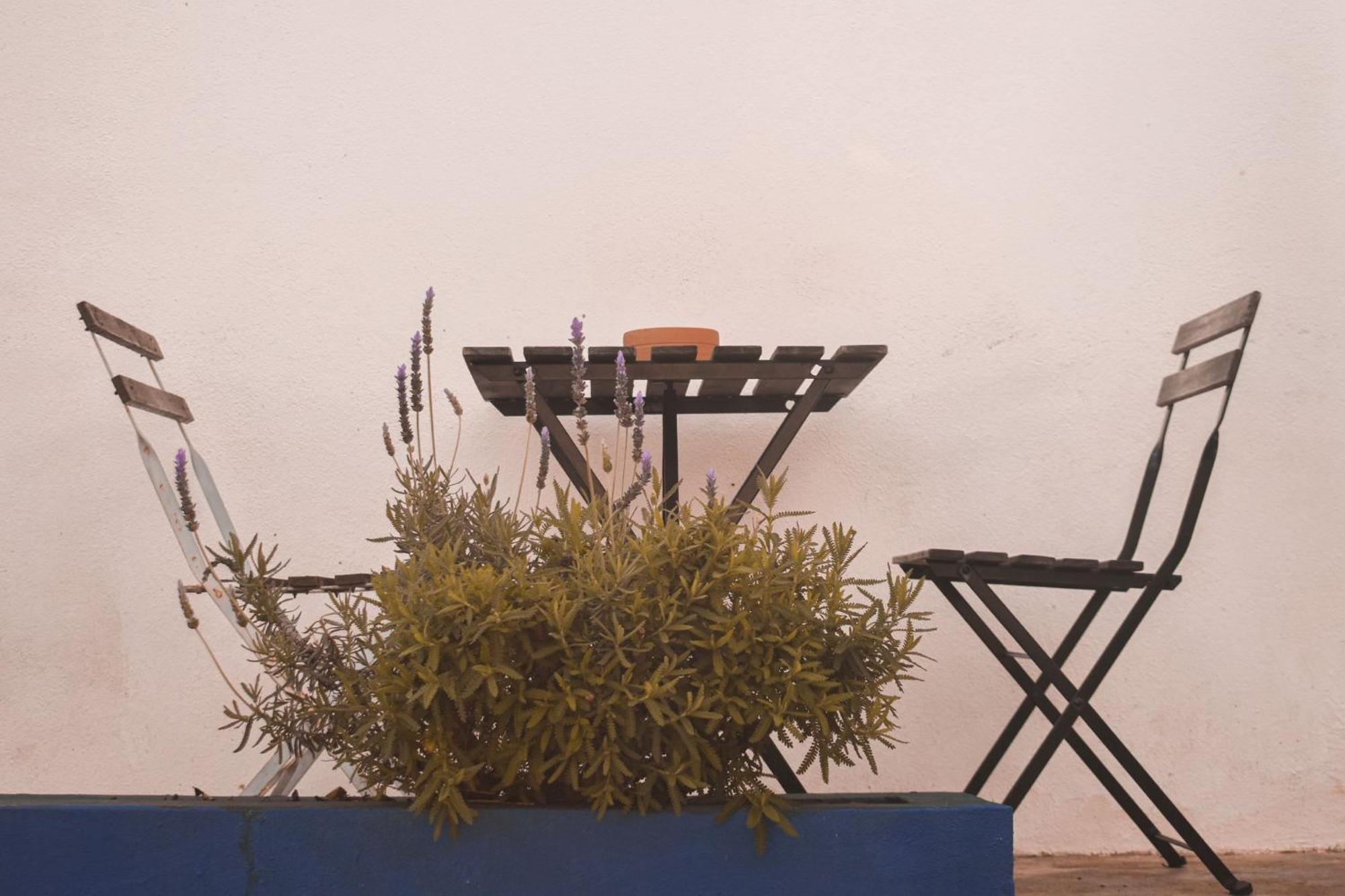 Patio Da Memoria Guest House Palmela Rom bilde
